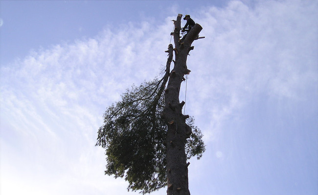 Démontage par corde avec rétention des pièces de bois